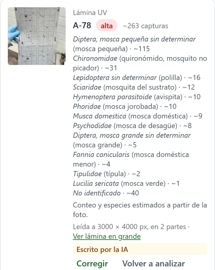 Análisis real de la IA: unas 263 capturas estimadas en la lámina A-78, con las especies más frecuentes